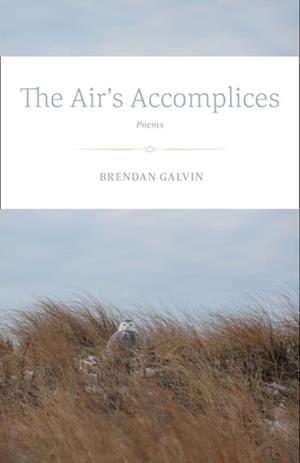 Air's Accomplices