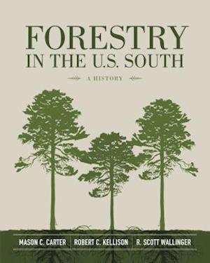 Forestry in the U.S. South