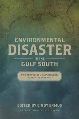 Environmental Disaster in the Gulf South