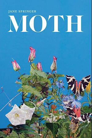 Moth