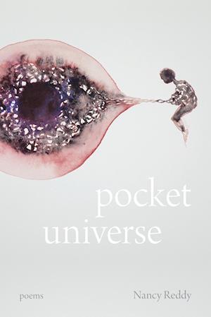 Pocket Universe