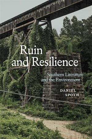 Ruin and Resilience