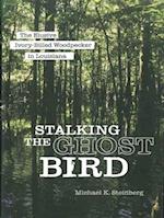 Stalking the Ghost Bird