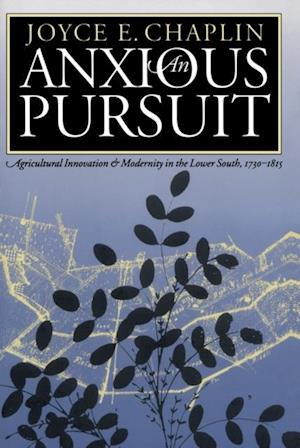 Anxious Pursuit