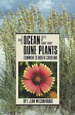 Guide to Ocean Dune Plants Common to North Carolina