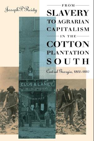 From Slavery to Agrarian Capitalism in the Cotton Plantation South