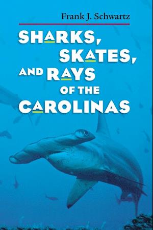 Sharks, Skates, and Rays of the Carolinas