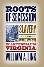 Roots of Secession