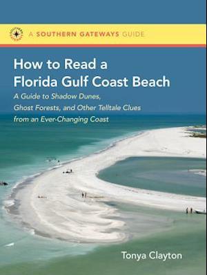 How to Read a Florida Gulf Coast Beach