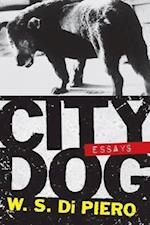 Piero, W:  City Dog