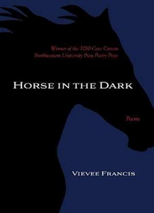 Horse in the Dark