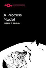 Process Model