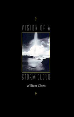 Vision of a Storm Cloud