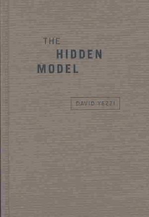 The Hidden Model