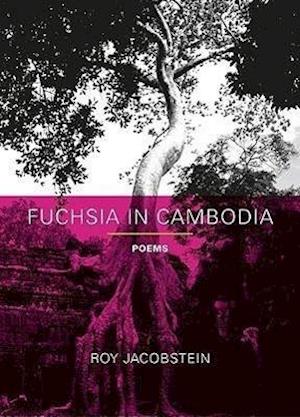 Jacobstein, R:  Fuchsia in Cambodia