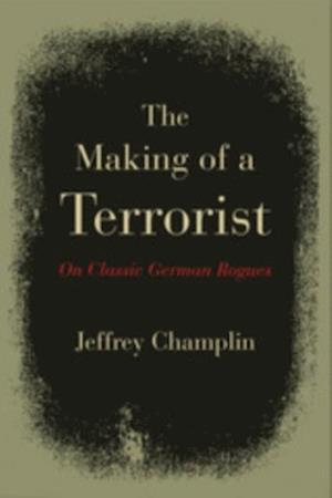 Making of a Terrorist