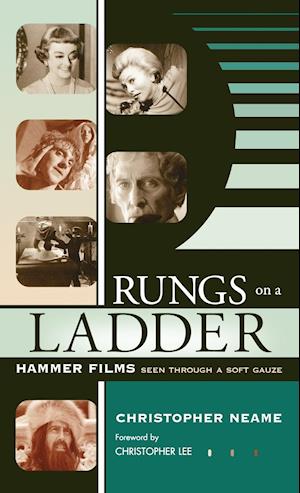 Rungs on a Ladder