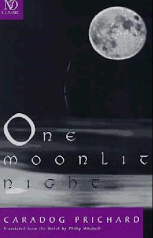 One Moonlit Night