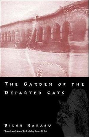 The Garden of the Departed Cats