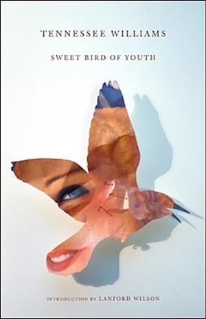 Sweet Bird of Youth