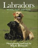 Labradors