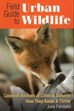 Field Guide to Urban Wildlife
