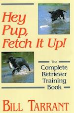 Hey Pup, Fetch it Up