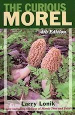 Curious Morel