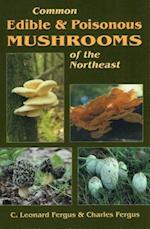 Common Edible & Poisonous Muspb
