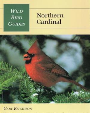 Wild Bird Guide