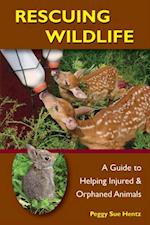 Rescuing Wildlife