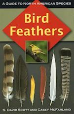 Bird Feathers