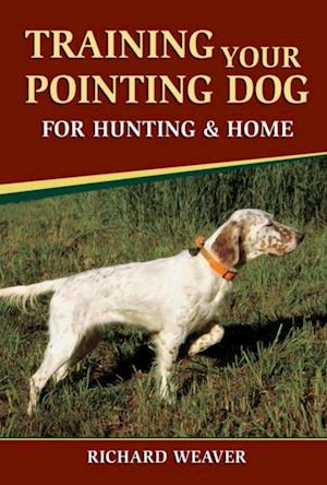 Training Your Pointing Dog for Hunting & Home