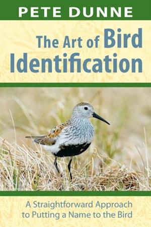 Art of Bird Identification