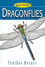 WG: Dragonflies