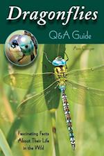 Dragonflies: Q&A Guide