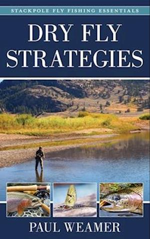 Dry Fly Strategies