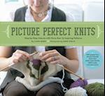 Picture Perfect Knits