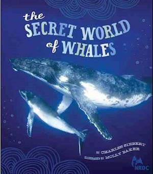 Secret World of Whales