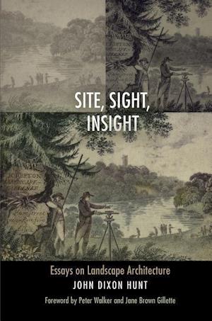 Site, Sight, Insight