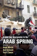 Armies and Insurgencies in the Arab Spring