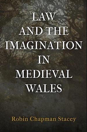 Law and the Imagination in Medieval Wales