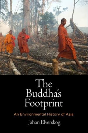 Buddha's Footprint