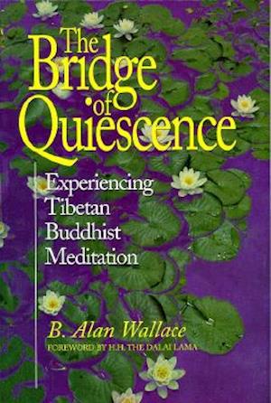 Bridge of Quiescence