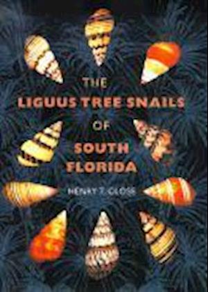 Liguus Tree Snails of South Florida