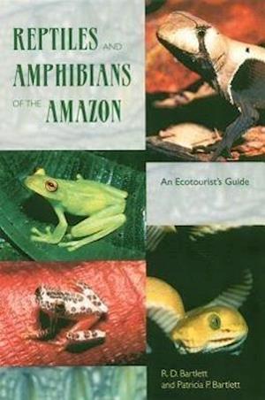 Reptiles and Amphibians of the Amazon: An Ecotourist's Guide