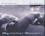 Mysterious Manatees