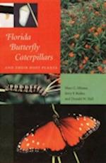 Florida Butterfly Caterpillars and Their Host Plants