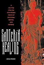 Santeria Healing: A Journey Into the Afro-Cuban World of Divinities, Spirits, and Sorcery 