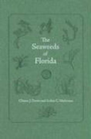 The Seaweeds of Florida